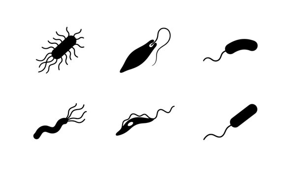 Microbiology Icons Set: Diverse Bacteria and Protozoa Vector Illustrations for Science and Health Graphics, Medical Research and Education