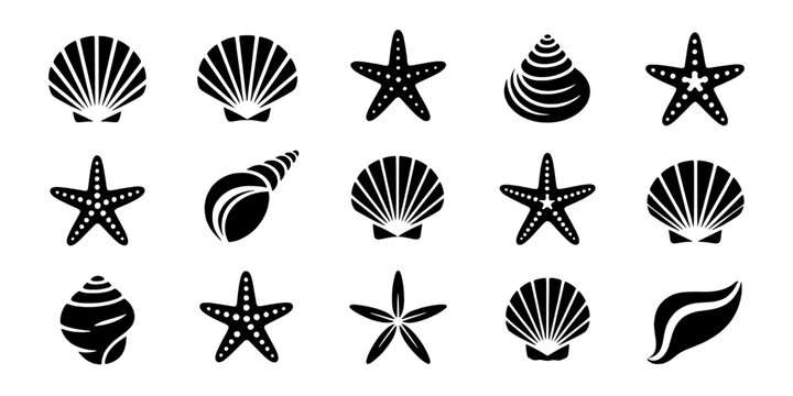 Seashells and Starfish Set with Various Designs and Patterns Featuring Beach, Ocean, Marine with Nature and Icons Elements for Vector, Black