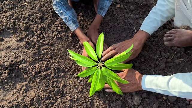 Grandfather and grandson planting a young sapling together. Environmental conservation and family legacy concept