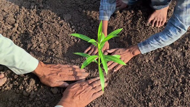 Grandfather and grandson planting a young sapling together. Environmental conservation and family legacy concept