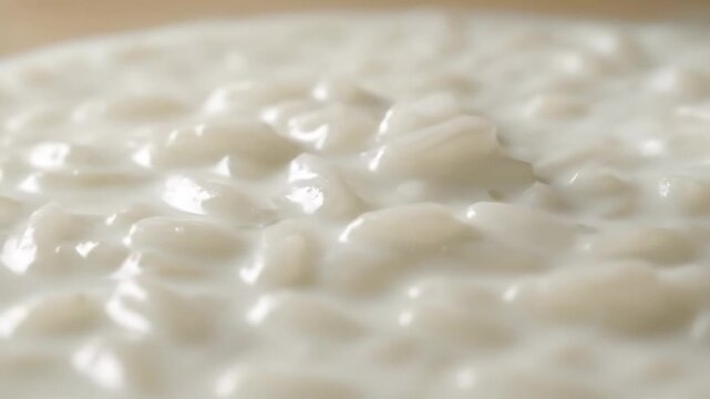 Extreme close-up macro shot of creamy sweet rice pudding (arroz con leche) texture, showing soft cooked grains immersed in milk or yogurt dessert.