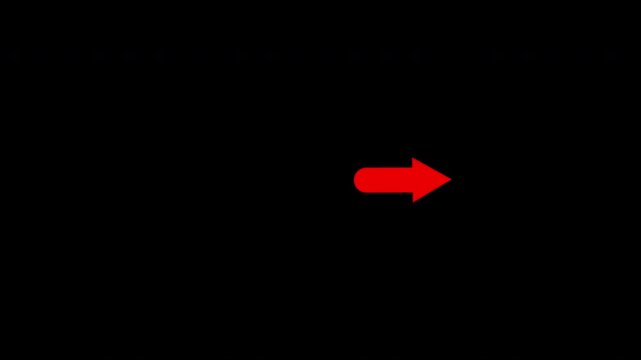 Squirrel arrow animation video 4k 