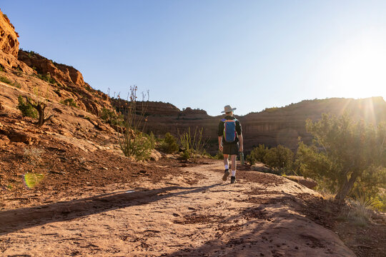 Hiker walks along a sunny desert canyon trail