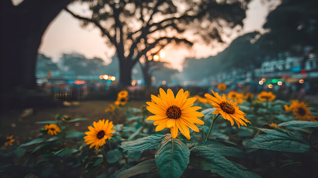Sunflowers swaying in a field during golden hour, nature scene. gardening catalogs, home-decor guides, designed for home decor and floral branding and gardening and botanical catalogs.adulteration.