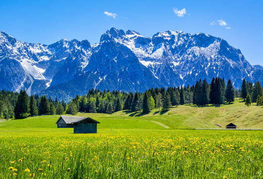 Landschaft mit Wiesen und Karwendelgebirge bei Mittenwald, Fr&uuml;hling, Werdenfelser Land, Oberbayern, Bayern, Deutschland