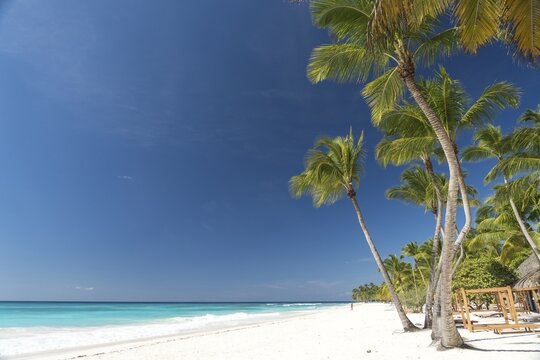 Dream beach, sandy beach with palm trees and turquoise sea, Parque Nacional del Este, Isla Saona, Dominican Republic, Caribbean