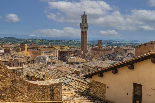 Above the rooftops of Siena with a view of the Torre del Mangia bell tower, Siena, Tuscany, Italy