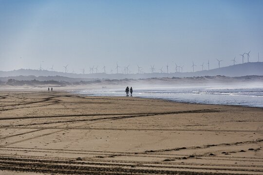 Tyre tracks and walkers on the beach, wind turbine on the horizon, wind turbines in the morning haze, backlight, Essaouira, Atlantic Ocean, Morocco