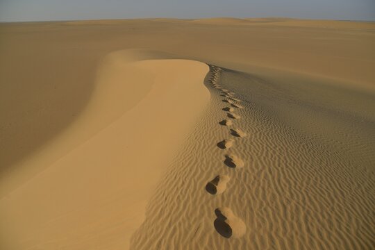Footprints on a dune in the Nubian Desert in Dongola, Northern, Nubia, Sudan