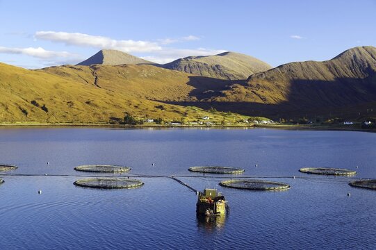 Fish farm on an inlet surrounded by mountains under a blue sky, October, Slichigan, Cullins, Hebrides, Isle of Skye, Hebrides, Scotland, United Kingdom