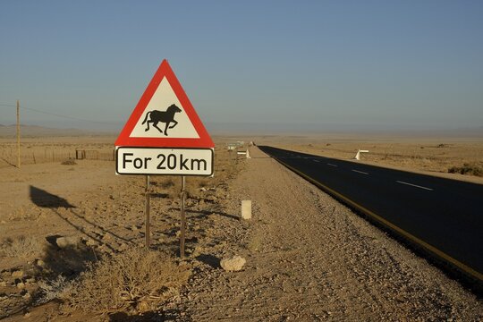 Road through the desert with a warning sign Attention horses, near Aus, Karas Region, Namib, Namibia