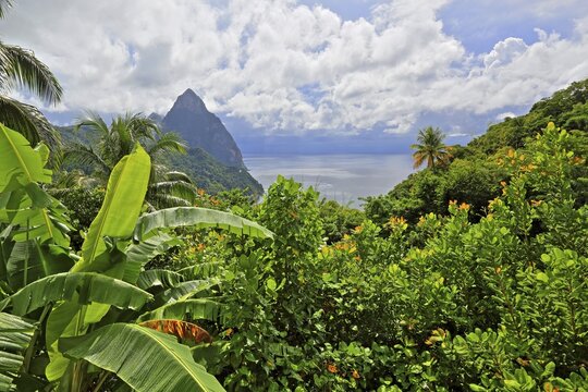 Tropical landscape with the two Pitons, Gros Piton 770m and Petit Piton 743m, Soufriere, St. Lucia, Lesser Antilles, West Indies, Caribbean Islands