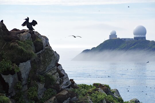 Cormorant spreads its wings on rocks to dry, fog over a bay and radar station, Horn&oslash;ya, Vard&ouml;. Finnmark, Norway