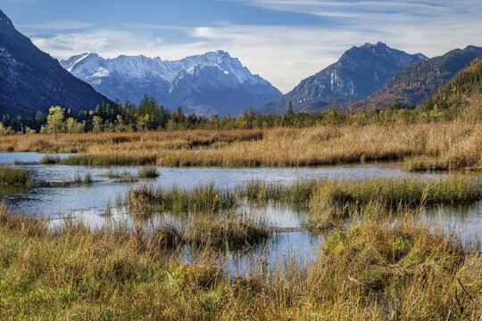 Autumn landscape with moorland Seven Springs and Zugspitze Group 2962m in the Wetterstein Mountains, Eschenlohe, Loisach Valley, The Blue Land, Upper Bavaria, Bavaria, Germany