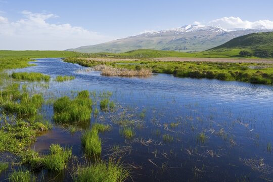 A calm lake surrounded by green meadows and hills with a snow-capped mountain in the background under a blue sky, landscape near Rya Taza with a view of Aragaz, Ria Taza, Aragatsotn Province, Armenia