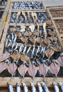 A wooden frame with net-like wire on which various types of dried fish lie, fish drying, Praia da Nazare beach, Nazar&eacute;, Oeste, Leiria district, Centro, Portugal