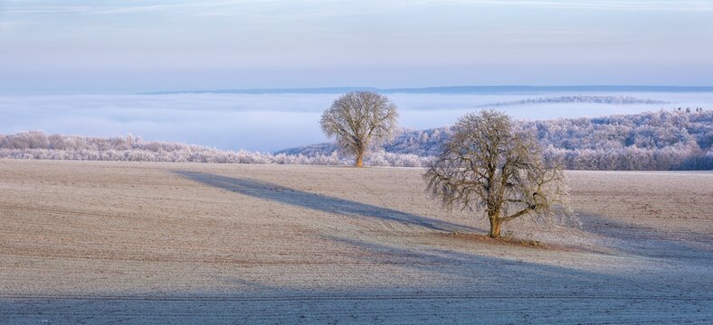 View of the Unstrut valley in winter, fields, trees and forests covered with hoarfrost, fog in the valley, Memleben, Saxony-Anhalt, Germany