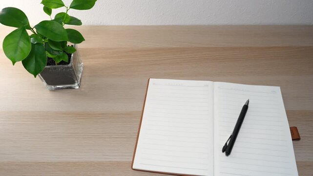An open blank notebook and a pen on a wooden desk with a green plant, copy space.