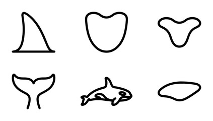 Orca Killer Whale Icons, Marine Mammal Shapes, Ocean Wildlife Vector Graphics © Shilpi