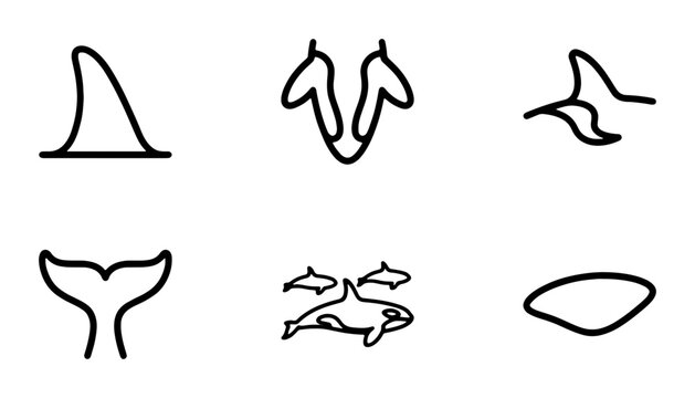 Orca Whale Icons, Killer Whale Vector Graphics, Marine Mammal Symbols, Ocean Wildlife Silhouettes