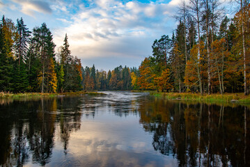 Fototapeta premium Autumn colours in river landscape in Farnebofjarden national park in Sweden