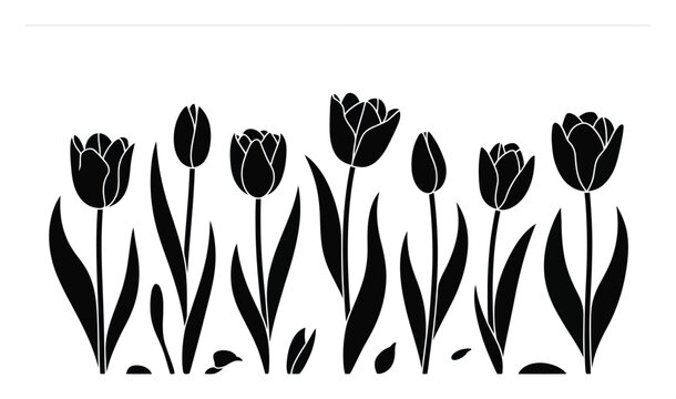 A minimalist black and white featuring a row of tulip flowers with long stems and leaves on a white background