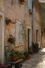 Fototapeta premium Charming Narrow Street with Flower Pots