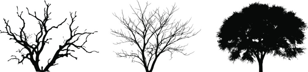 Black tree silhouettes set, leafless and full canopy forest isolated vector illustration, decorative nature design for autumn landscape stock projects © New World