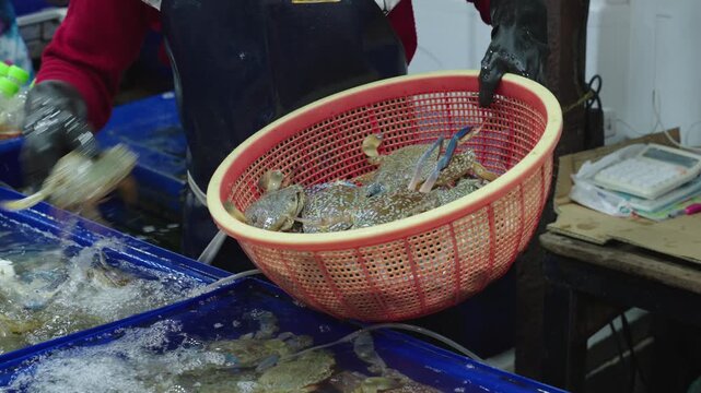 Fishmonger selecting live crabs from seafood tank at wet market. Authentic seafood trade and daily life at a traditional wet market in Thailand