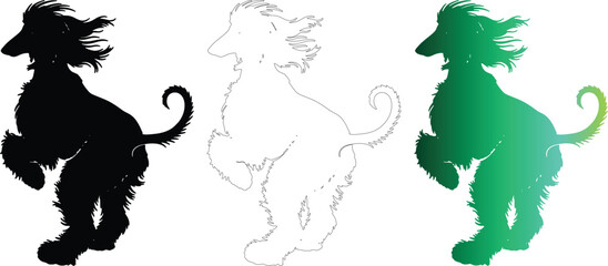 Obraz premium Afghan Hound Dog Silhouette Vector Set Line Art Outline Design on Transparent Background
