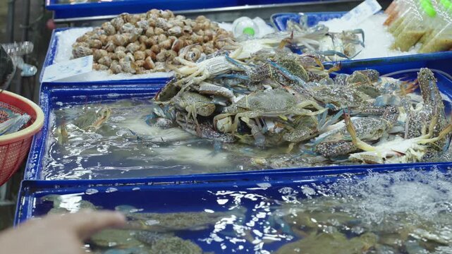 Vendor selecting live crabs for sale at seafood market in Thailand