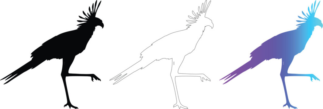 Vector walking secretary bird silhouette set, crested predator on transparent bg