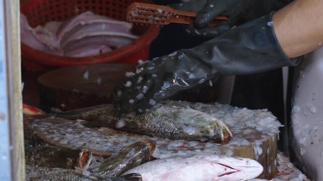 Fishmonger cleaning and scaling fresh fish on wooden block at vet market. Traditional seafood market scene featuring fresh seafood trade in Thailand