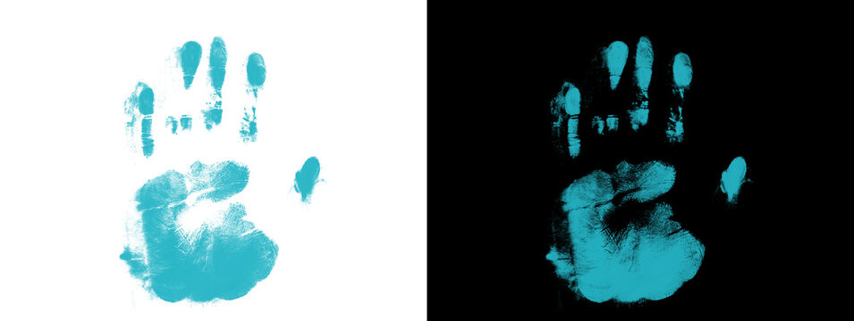  Cyan Handprint Splayed Fingers on White and Black Background