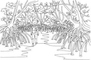 Obraz premium Person with backpack walking on a path through a mangrove forest.