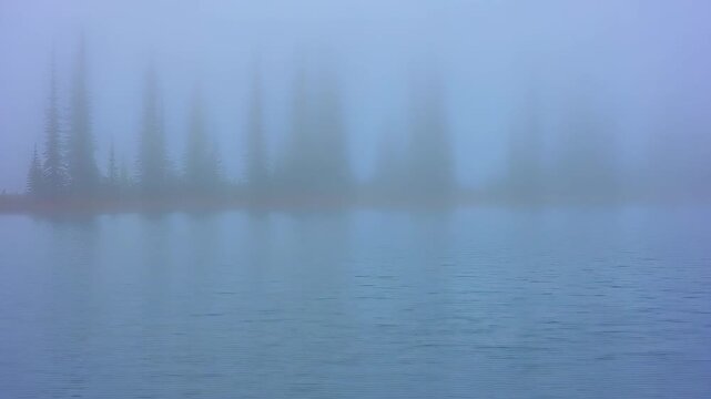 Timelapse of thick white fog rolling in and completely covering a silhouette pine forest reflecting on calm lake water. Serene nature background for meditation.