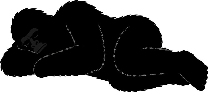 A person lies on the ground in a curled up sleeping position on a flat surface.