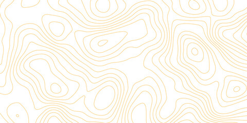 Minimalist abstract topographic contour lines, flowing organic curves, monochrome line art, clean seamless pattern, modern map-inspired design, white background. © Pixel Art Studio
