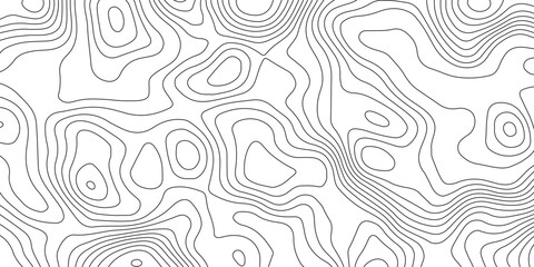 Minimalist abstract topographic contour lines, flowing organic curves, monochrome line art, clean seamless pattern, modern map-inspired design, white background. © Pixel Art Studio