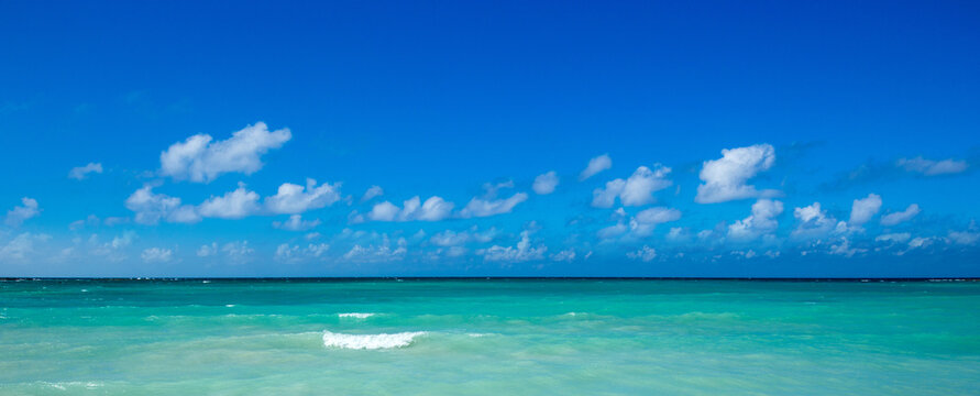 beautiful beach and tropical sea