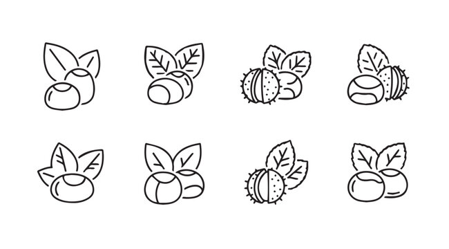 Chestnut and Leaf Icons Simple Outline Collection Isolated on White Background