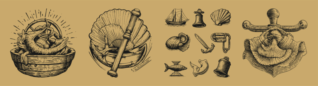 Vintage Nautical Illustrations Featuring Shells, Anchors and More