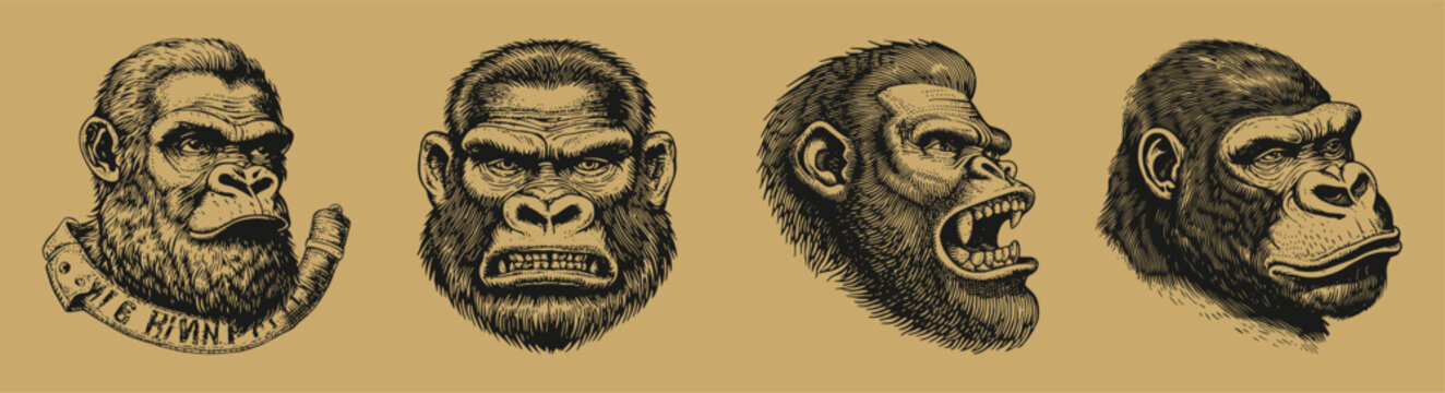 Vintage Style Gorilla Illustrations with Detailed Features and Expressions