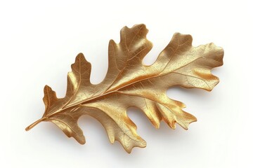 Obraz premium Oak leaf plant gold white background.
