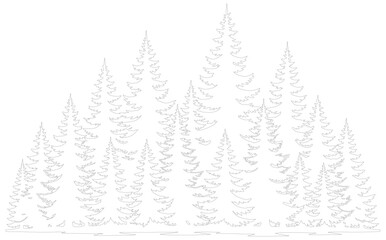 Obraz premium Minimalist pine forest line art vector, evergreen tree silhouettes in thin stroke style, coniferous woodland landscape outline for coloring