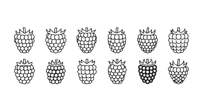 Line art raspberries arranged in a row with one highlighted in black and white