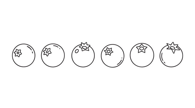 Row of simple blueberries in outline style on a white background