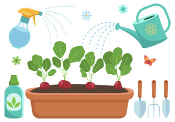 Gardening process of growing radishes in a long planter box with watering can, spray bottle, fertilizer and garden tools © Euler