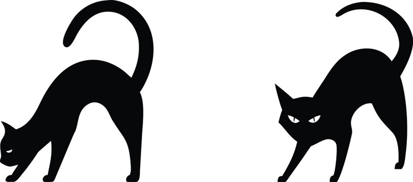 Pair of black cat silhouettes in aggressive and arched postures isolated on transparent background graphic vector set.