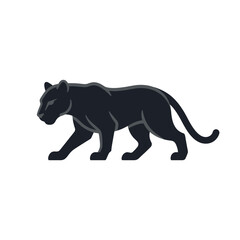 Fototapeta premium Sleek black panther walking prowling profile view.